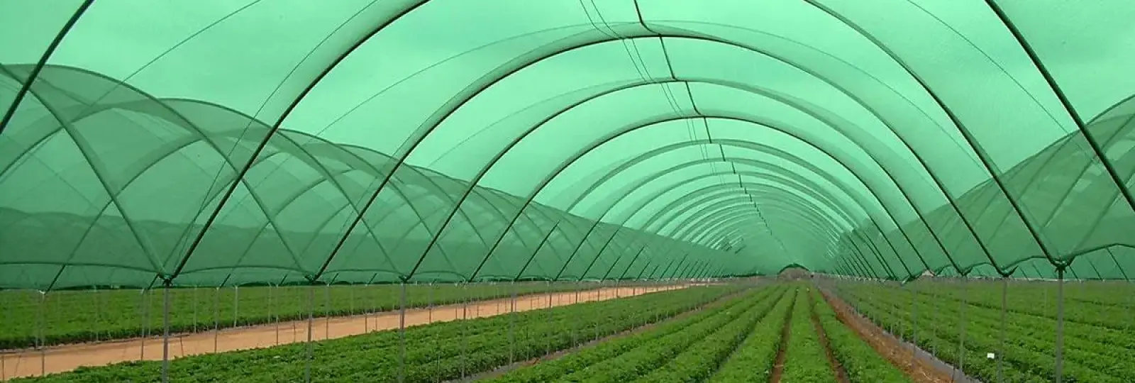 Gölgelendirme Fileleri