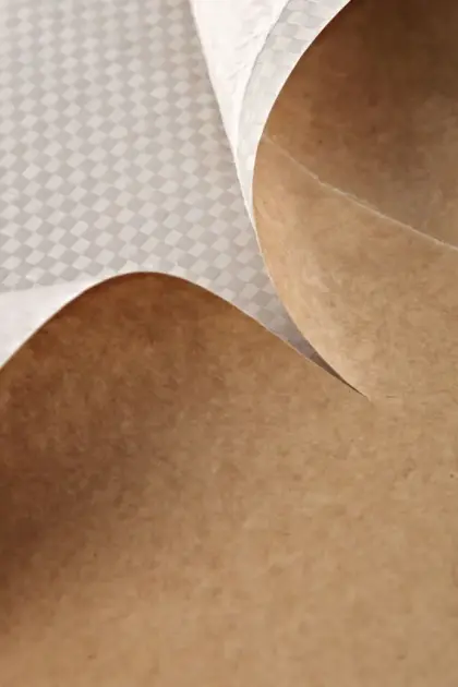  PP Kraft Lamineli Torba