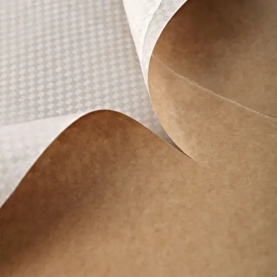 PP Kraft Lamineli Torba
